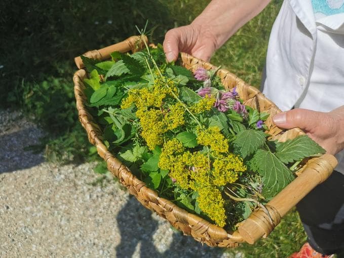 Wildkräuterwerkstatt - ©Grüne Kosmetik