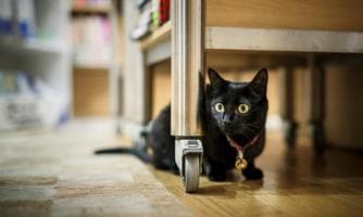 Lesung mit Stefan Maiwald