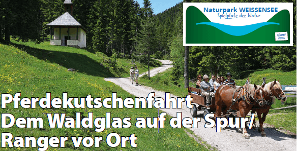 Pferdekutschenfahrt im Naturpark