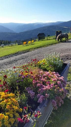 Kräutertreff bei der Branntweineralm