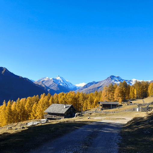 Herrlicher Altweibersommer – Der Lärchenwald der Apriacher Almen