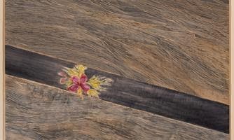 Ausstellung: Gerda Obermoser