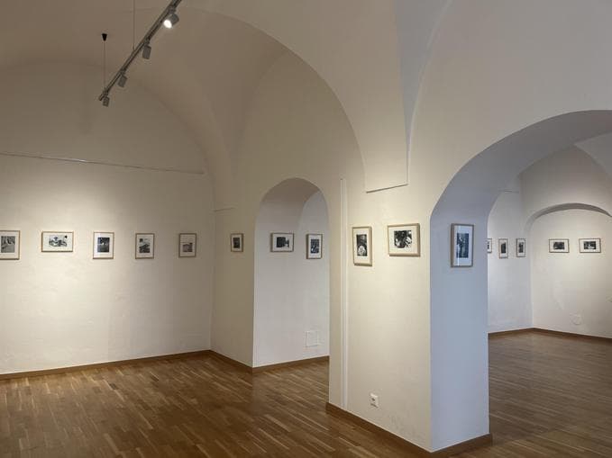 ohne titel - Sommerausstellung
