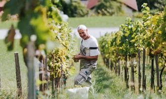Kultur, Wein und Kulinarik