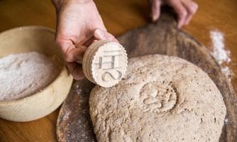 Geschmacksschulung Brot vom Bauern und Bäcker