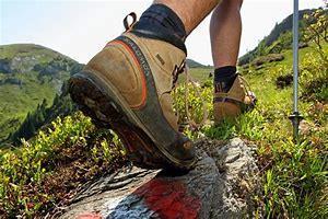 Geführte Wanderung - Almerlebnistag Reisacher Jochalm