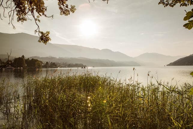 Qigong am See