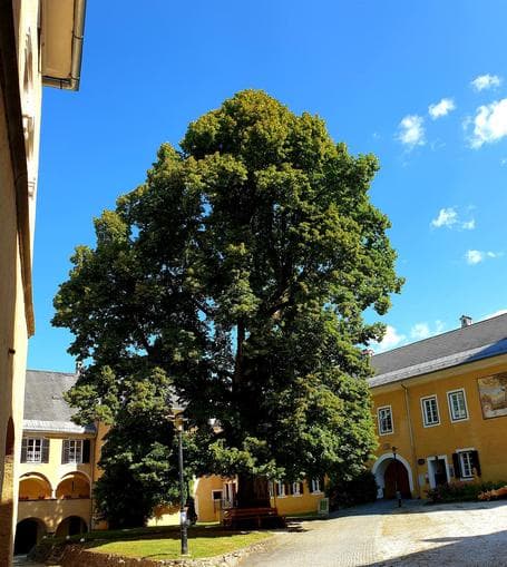 Kunsthistorische Führung durch das Stift Millstatt