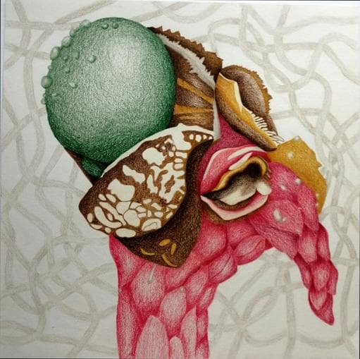 Ausstellung INGE MARION PETERSEN