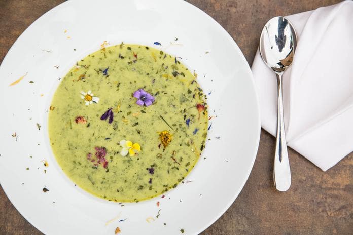 Wildkräutersuppe Workshop
