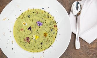 Wildkräutersuppe Workshop