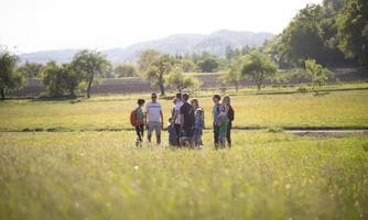 Kräuterwanderung mit Heike Kern - Natur erleben