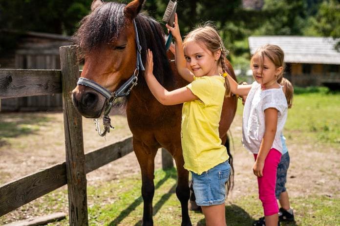 Trattlers Ponyfarm
