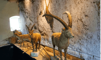 Ausstellung "Wohnzimmer Natur"