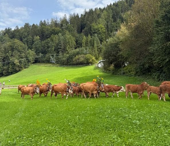 Almabtriebsfest der JB/LJ Kufstein