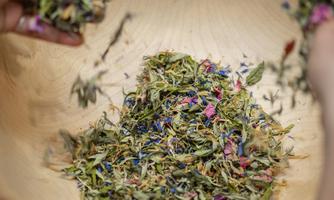 Kräuterworkshop auf der Aschingeralm