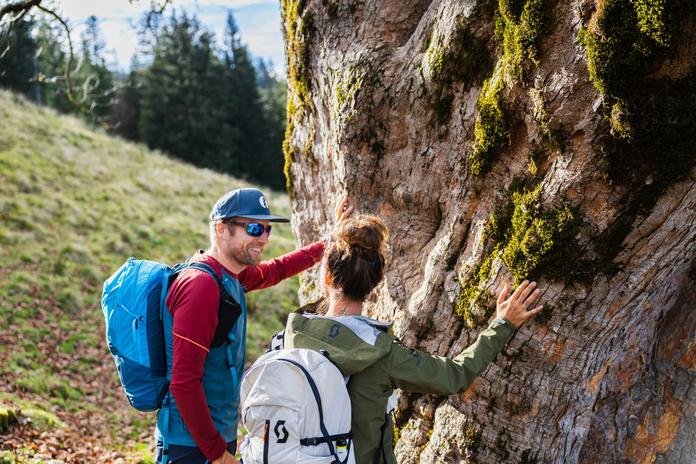 Eintauchen in den Wald und Gottes Schöpfung erfahren