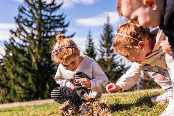 Naturparktag am Imberg