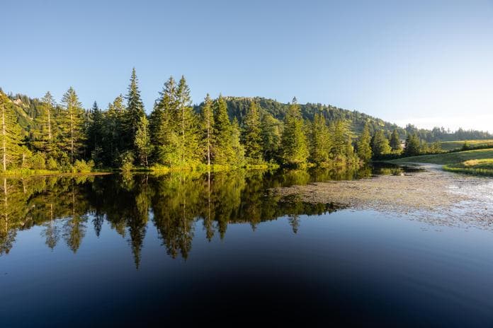 Naturpark-Wanderung: Das Hochmoor entdecken