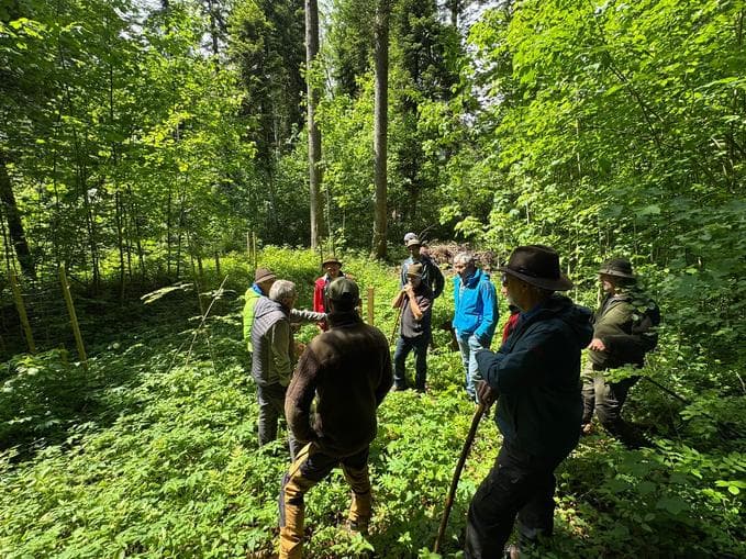 Auf der Pirsch mit dem Jäger