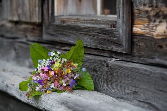 kostenlos geführte Wanderung - Kärntens Blumenberg