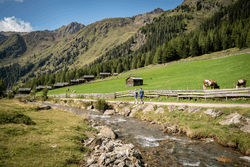 kostenlos geführte Wanderung - Niedergailer Alm