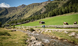 kostenlos geführte Wanderung - Niedergailer Alm