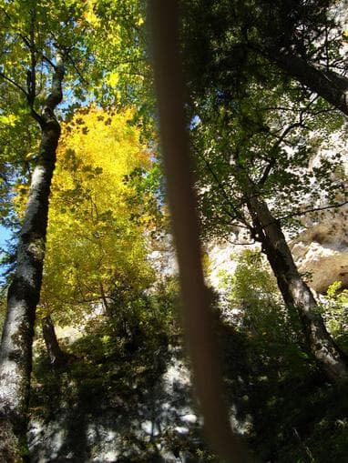 "Waldbaden" - Glücksmomente erleben mit Anneliese Höfer