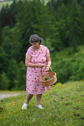 Heilkräuterwanderung & Workshop mit Birgit Schwaiger