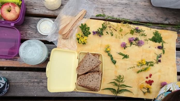 Kräuterspaziergang mit Viktoria Niederseer
