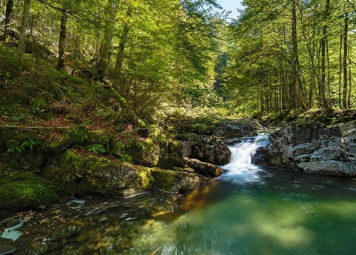Kühle Wasser, wilde Wälder