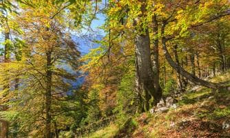 UNESCO Welterbe Tour: Im Bodinggraben