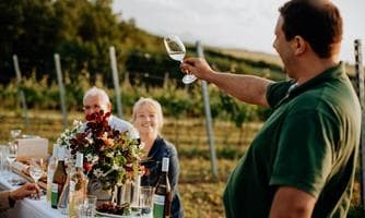Themenwanderung - Wein