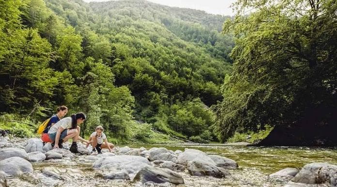 Nationalpark Erlebnistour für Kinder & Familien
