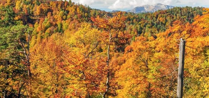 Das verlassene Tal - vom Bergbaugebiet zum Weltnaturerbe