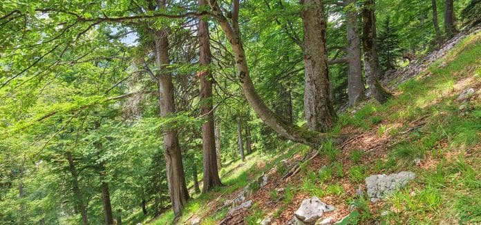 UNESCO Welterbe Tour: Zu den Siebenbrünn