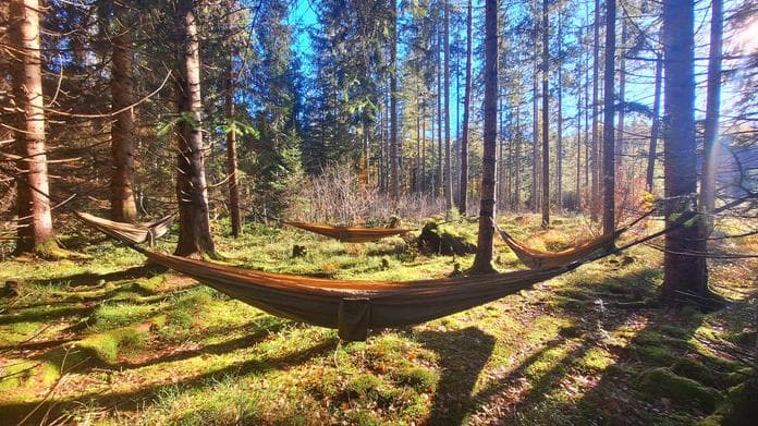 Waldmeditation in der Hängematte