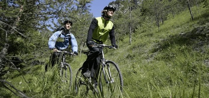 Bike & Hike zur höchsten Tanne im Nationalpark