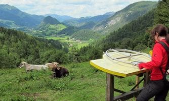 Am Natur-Spuren-Weg zum Panoramaturm Wurbauerkogel