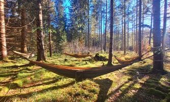 Waldmeditation in der Hängematte