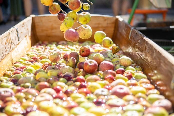 Mostbauern-Sonntag mit Erntedankfest
