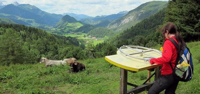 Am Natur-Spuren-Weg zum Panoramaturm Wurbauerkogel
