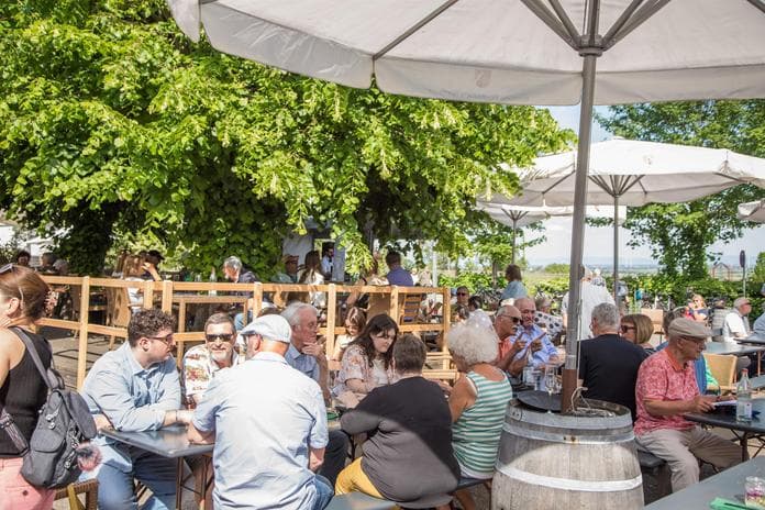 Sommerfest unter den Linden im Weinland Königsbach