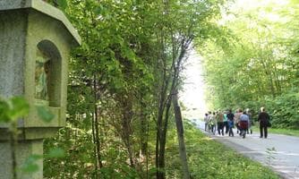 Bittgang am Rosenkranzweg anschl. Maiandacht