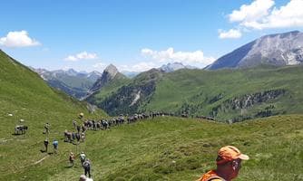 Wallfahrt von "Hüttschlag nach Zederhaus"