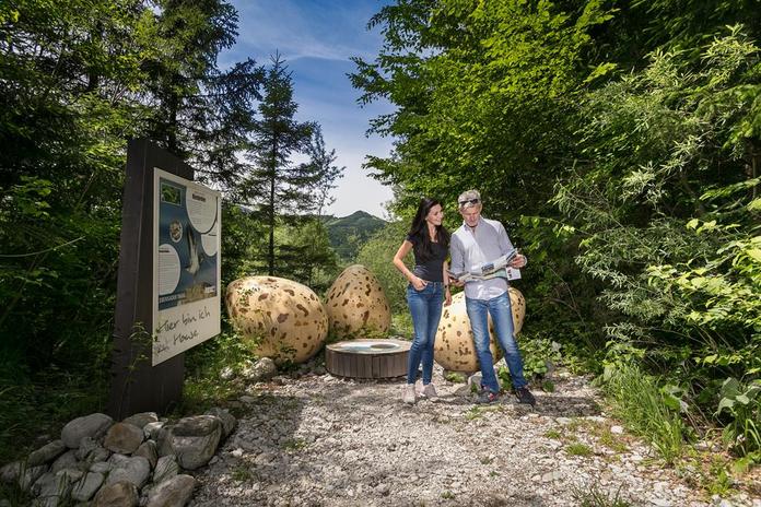 Geführte Wanderung entlang der "Lebensader Taugl"