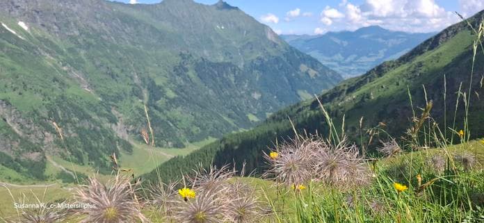Geführte Bergtour zur Geierlacke