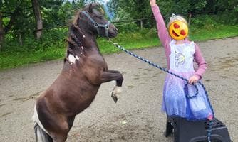 Abenteuer am Ponyhof