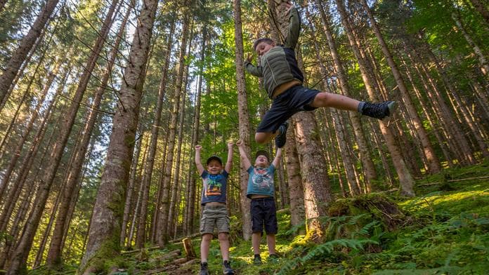 Geführte Kinderwanderung