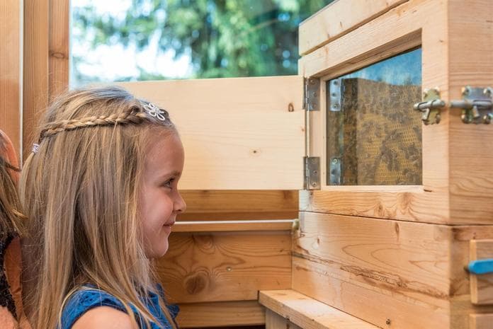 Immer wieder freitags. Der Imker - die Imkerin informiert im Bienenhaus